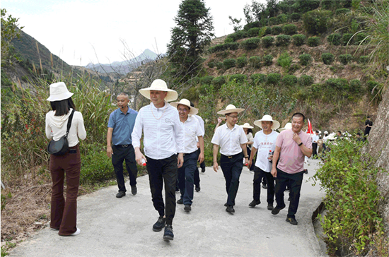 13 振興茶產業 媒體來助力 廈門市安溪商會組織媒體記者走進安溪茶鄉265.png